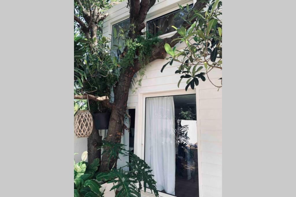 La Caze Amoremieve Pour Un Sejour Cozy A St Pierre Saint Pierre Bagian luar foto